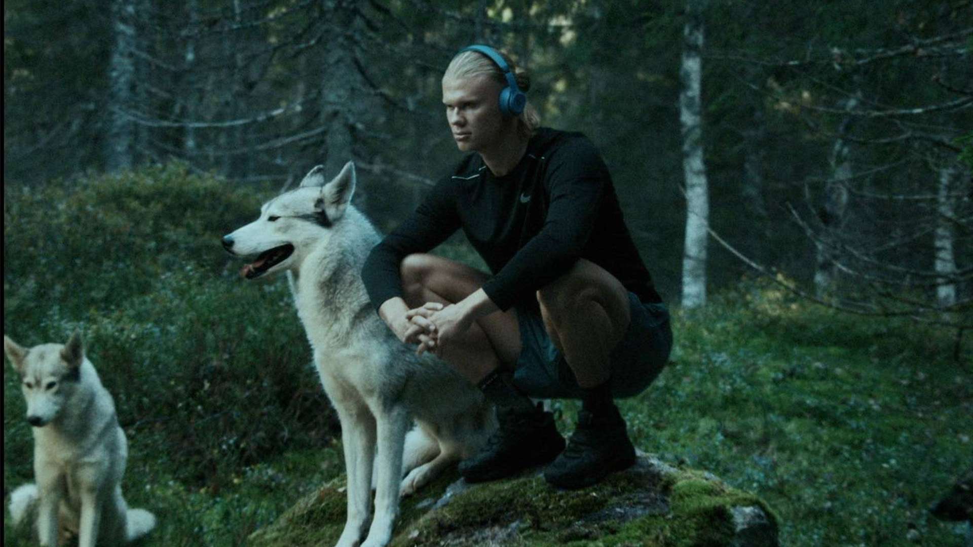 职业队伍中 职业队伍中