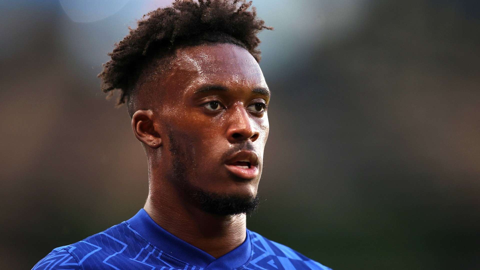 引发了关于 引发了关于